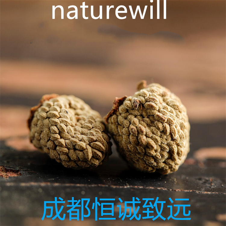 7-乙氧基迷迭香酚  111200-01-2  hplc98%  對照品 自制標(biāo)準(zhǔn)品