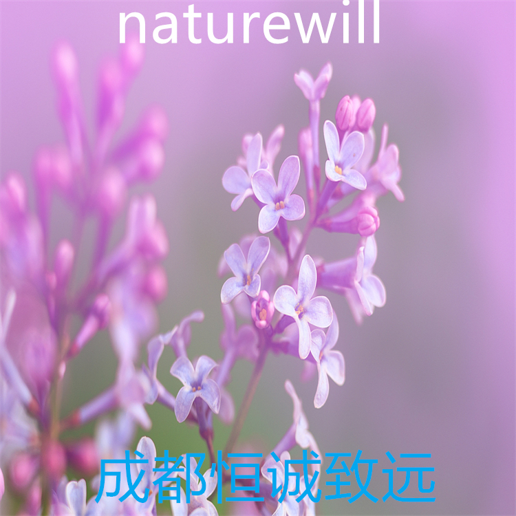 ft麥冬皂苷J(rèn)  125150-67-6  hplc98%  對照品 自制標(biāo)準(zhǔn)品