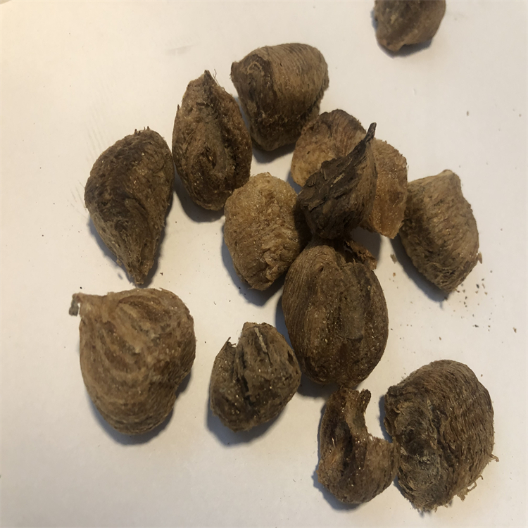 3-O-阿魏酰奎尼酸 1899-29-2 科研實(shí)驗(yàn)專用 圖譜全 純度高 對照品