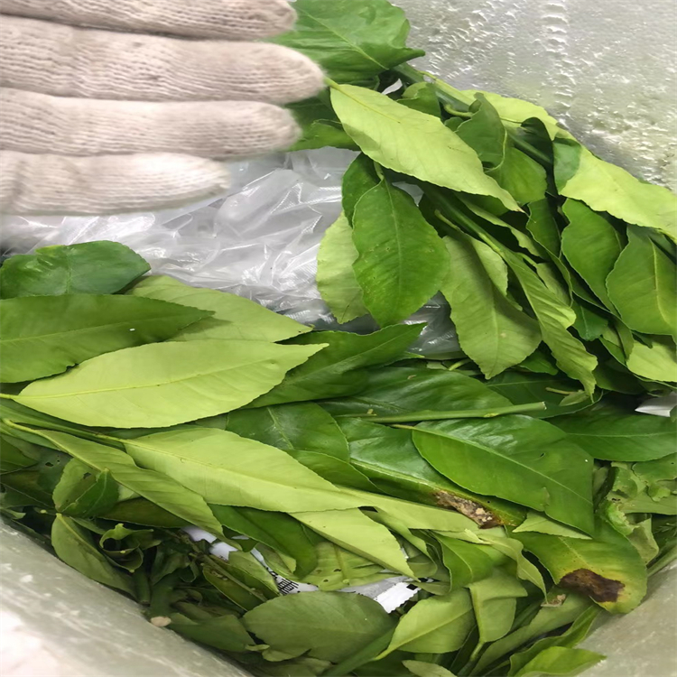 11-O-羅漢果皂苷VI  對照品標準品 純度高 圖譜全 科研用品