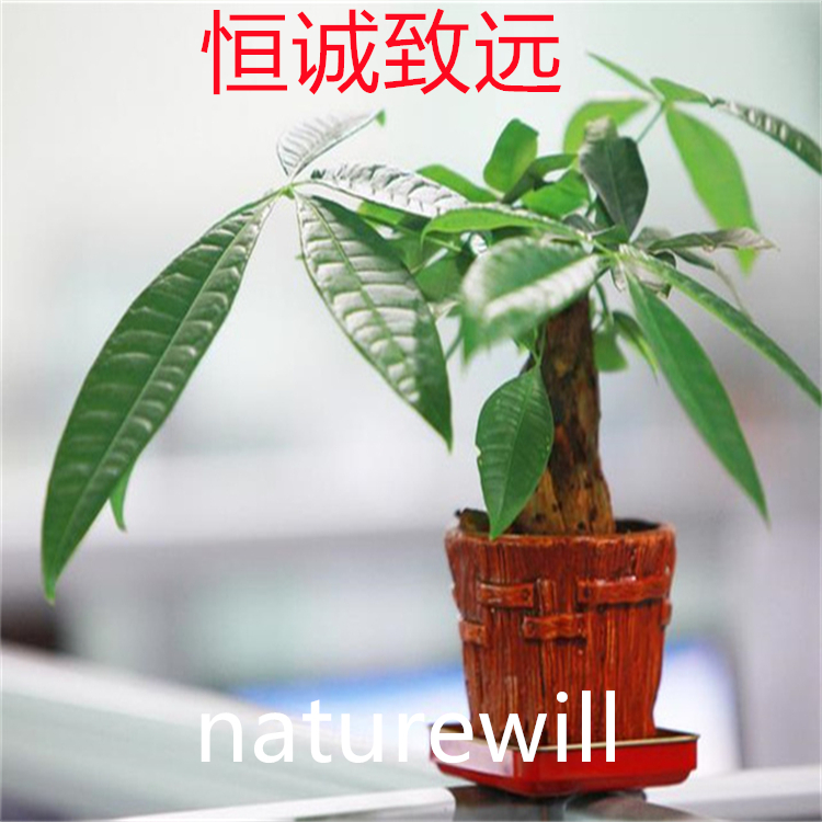 羅漢果皂苷VI B  2149606-17-5  hplc98%  對照品 自制標(biāo)準(zhǔn)品