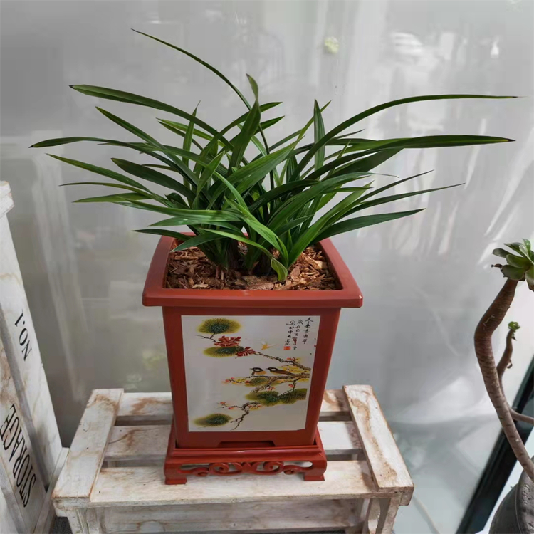 赤芝孢子酸 A 135357-25-4  三大圖譜 98% 對(duì)照品中檢所