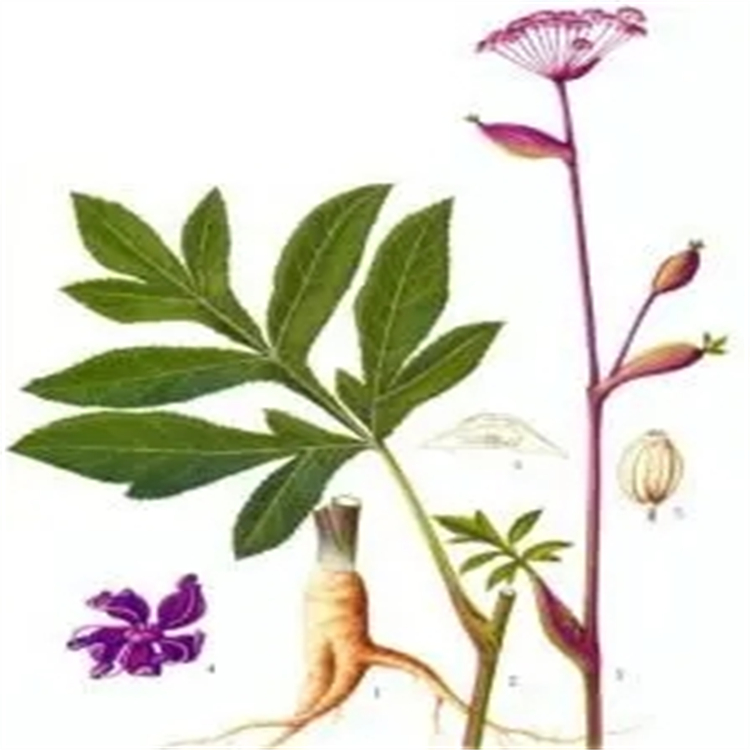 竹柏雙黃酮 A  自制對(duì)照品 中檢院 純度高  圖譜全 科研專(zhuān)用