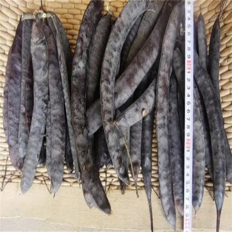 野百合堿 對(duì)照品標(biāo)準(zhǔn)品 純度高 圖譜全 科研用品