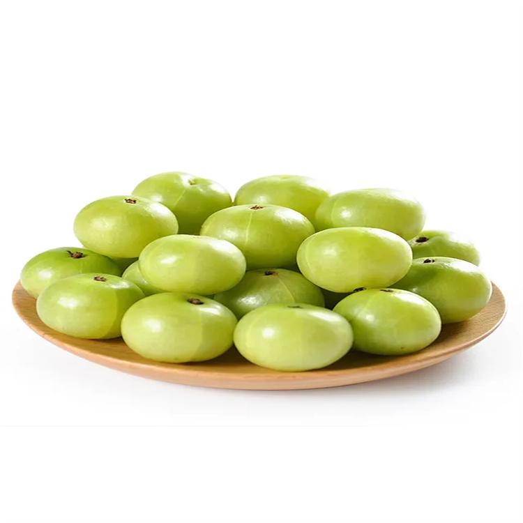 地芰普內(nèi)酯 標(biāo)準(zhǔn)品對照品廠家 5989-02-6 Loliolid HPLC 98%