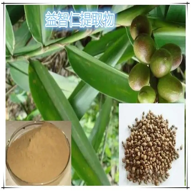 638-66-4 硬脂醛 自制中藥對照品標(biāo)準(zhǔn)品 純度98%