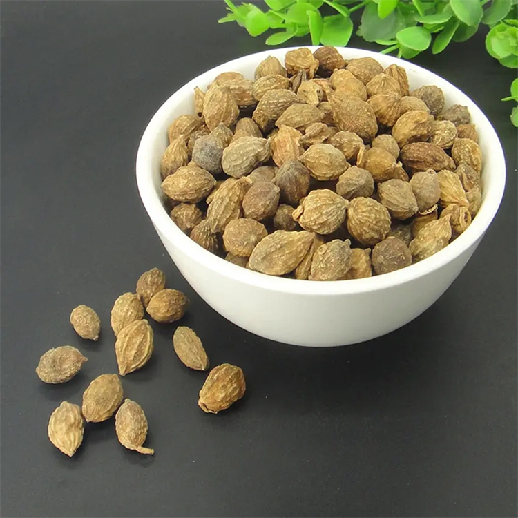 硬脂酸 57-11-4 中藥對照品標(biāo)準(zhǔn)品 純度98% 科研專用