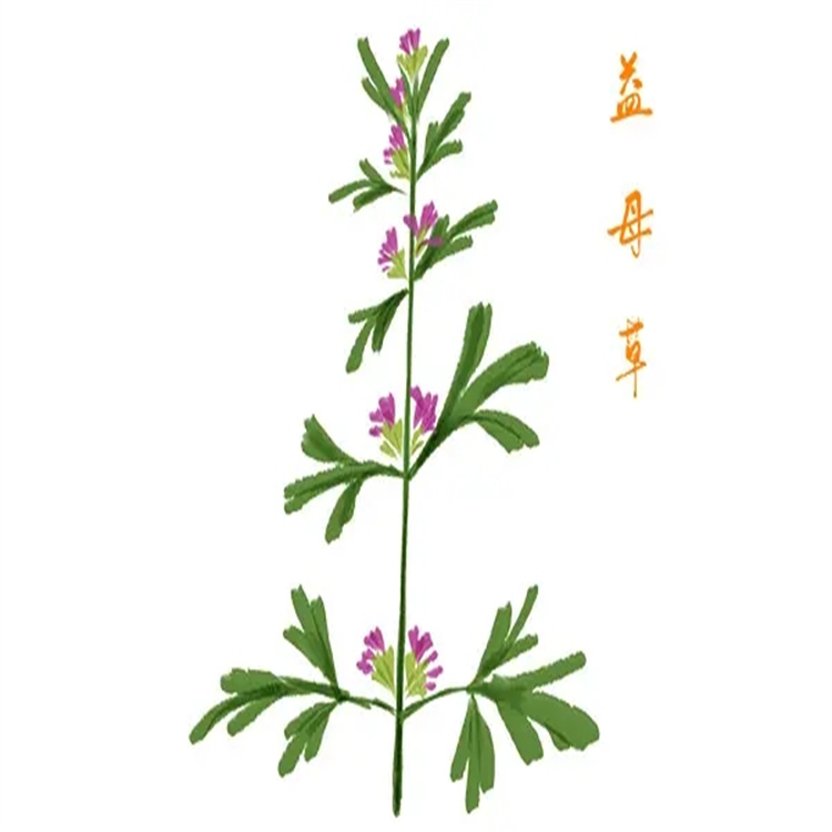 935276-32-7 對照品 高純度標(biāo)準(zhǔn)品 月腺大戟素A 純度98%