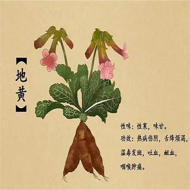粘毛黃芩素III  92519-91-0 分析對照品標(biāo)準(zhǔn)品廠家 純度98%