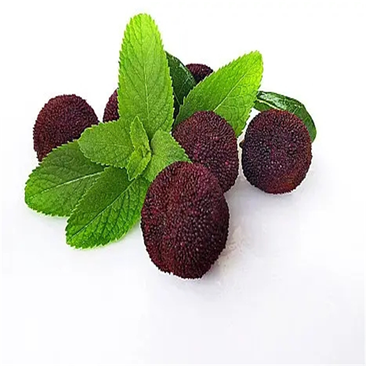 刺蒺藜苷 22153-44-2  科研實(shí)驗(yàn)專用 高純98% 自制對照品