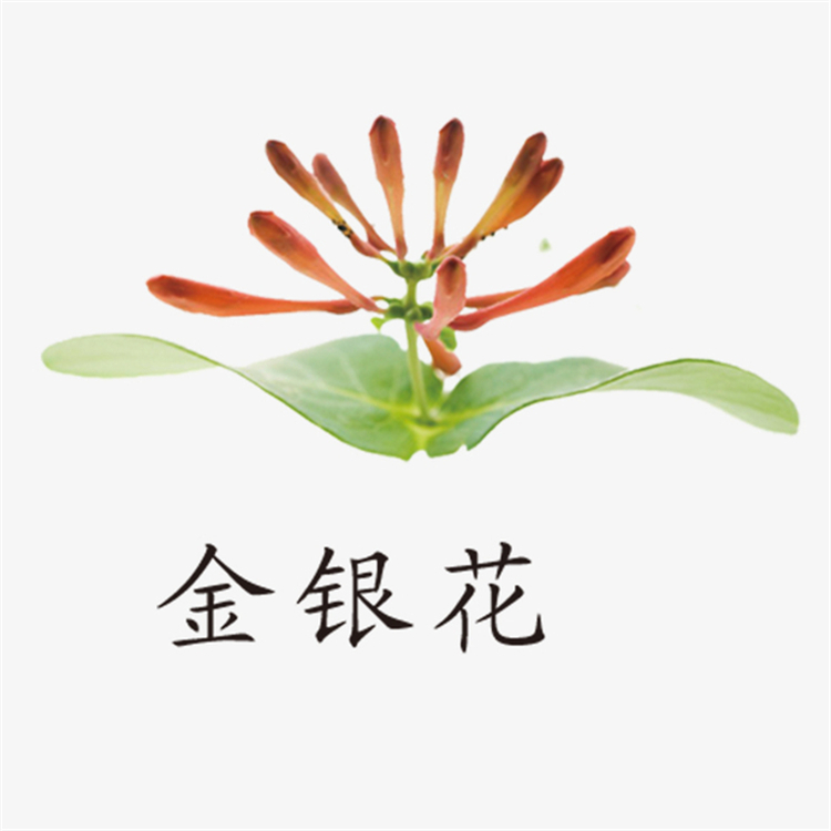 五倍子醛13677-79-7對照品廠家 標(biāo)準(zhǔn)品 科研專用