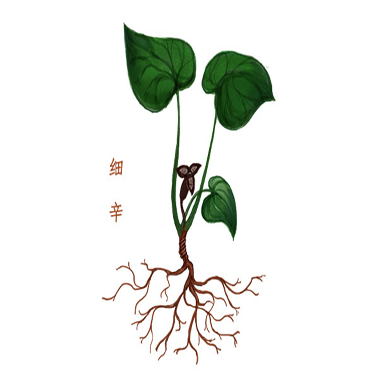 芍藥苷元 中藥標(biāo)準(zhǔn)品對(duì)照品廠家 697300-41-7 純度高 科研用