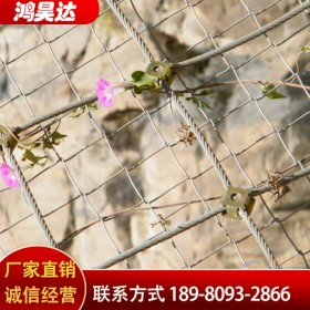 SNS柔性邊坡防護(hù)網(wǎng)廠家 高速公路旁山體包山網(wǎng) 主動護(hù)坡網(wǎng)
