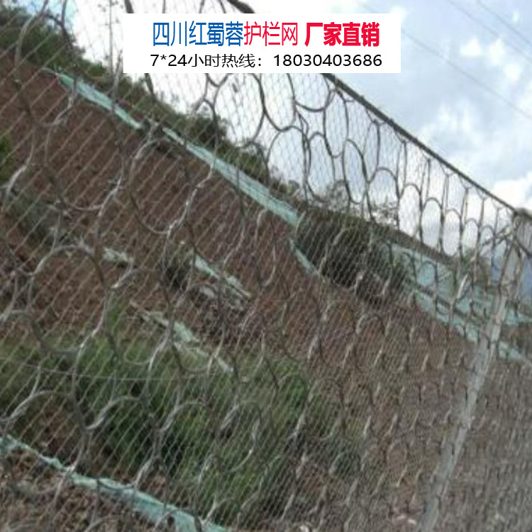 廠家直銷山體柔性主動(dòng)被動(dòng)邊坡防護(hù)網(wǎng) 廠家直銷