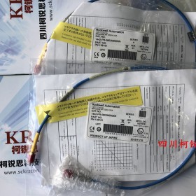 AB羅克韋爾1442-PS-0803M0010N 探頭-青島現(xiàn)貨
