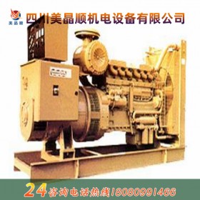 250KW上柴柴油發(fā)電機(jī)組 動(dòng)力更強(qiáng)勁 廠家直銷(xiāo) 品質(zhì)保證