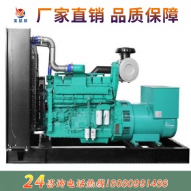 濰柴200KW柴油發(fā)電機 濰柴動力 高原之星 動力強勁 廠家直銷 全國聯(lián)保