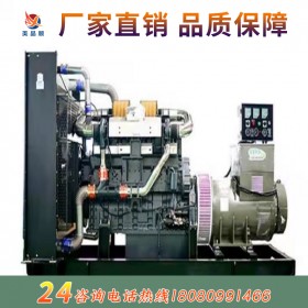 上海柴油發(fā)電機組200KW上海乾能 戶外運動式發(fā)電機組 靜音發(fā)電機組備用發(fā)電設(shè)備 廠家直供