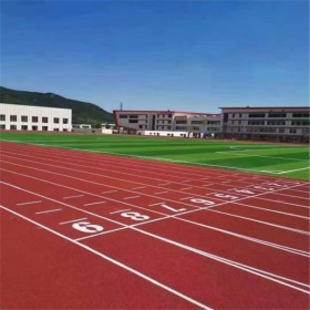 成都透氣型塑膠跑道 混合型塑膠跑道原材料 學(xué)校操場材料