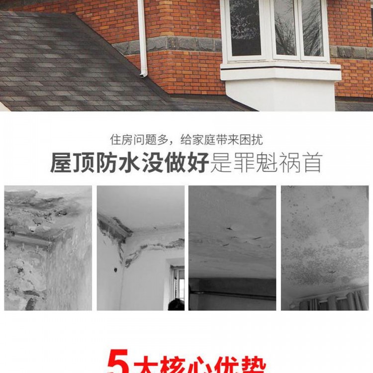 瀝青瓦_(dá)02