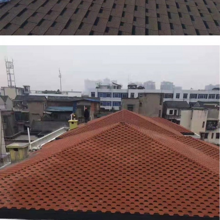 瀝青瓦_(dá)06