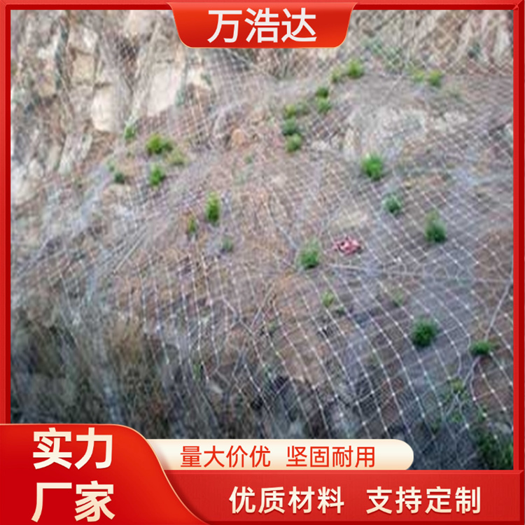 簾式防護網(wǎng) 地災(zāi)治理網(wǎng) 生態(tài)綠化邊坡防護美觀耐用 萬浩達