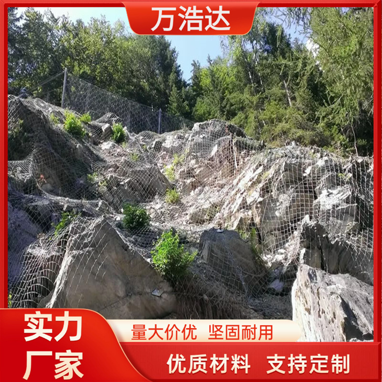 絞索網(wǎng) 熱鍍鋅防腐防銹高速公路柵欄  防落石安全 萬浩達