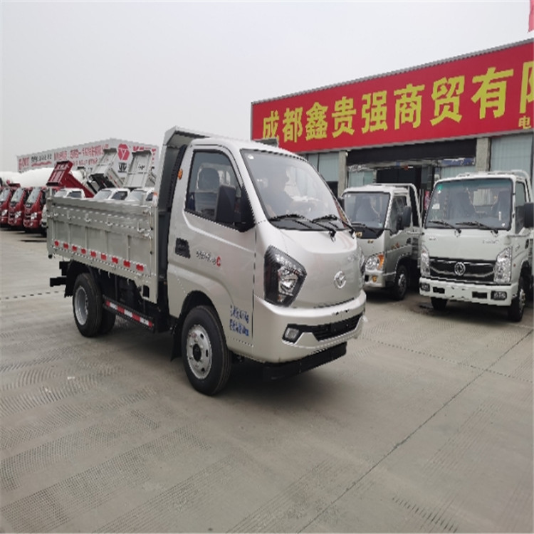 12)時風(fēng)風(fēng)云2.8米自卸汽車2