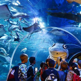 戲浪亞克力厚板 透明特大有機(jī)玻璃板 水族館透明板 PMMA板