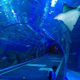 成都大魚缸定做廠家 別墅觀賞養(yǎng)殖大水族箱 酒店商場(chǎng)透明海淡水魚缸定做 異形圓柱大魚缸設(shè)計(jì)與安裝