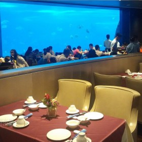 亞克力大魚(yú)缸定做 別墅魚(yú)缸設(shè)計(jì)定制 懸空透明網(wǎng)紅泳池設(shè)計(jì)安裝