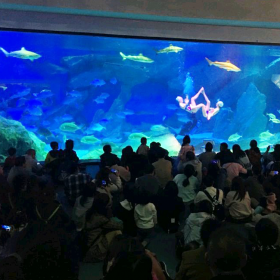 戲浪供應(yīng)圓柱形亞克力魚(yú)缸 承接圓柱形亞克力魚(yú)缸定制