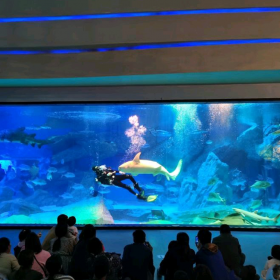 戲浪廠家定做大型亞克力魚(yú)缸 亞克力水族箱 魚(yú)缸造景 魚(yú)缸設(shè)計(jì)