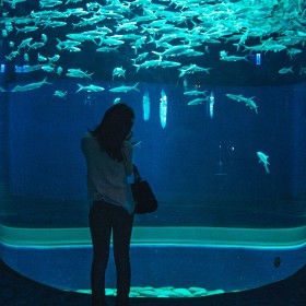 戲浪空中泳池懸空泳池 別墅游泳池水族館施工說(shuō)明 無(wú)邊界亞克力游泳池 水族館工程