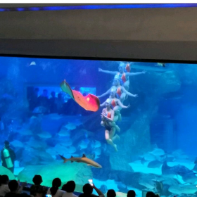 戲浪承接海洋館設(shè)備安裝 海洋館設(shè)計(jì)觀賞大型魚(yú)缸海洋館過(guò)濾設(shè)備亞克力魚(yú)缸