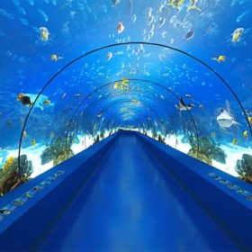戲浪海洋館工程施工 免費(fèi)海洋館設(shè)計 海底隧道亞克力安裝 無邊際懸空透明泳池