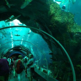 四川戲浪海洋館設(shè)計(jì) 工程透明魚(yú)缸定制 懸空透明泳池安裝