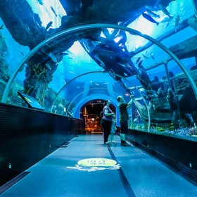 戲浪海洋館工程施工 設(shè)計(jì)水族景觀 海洋館過(guò)濾設(shè)備配置安裝