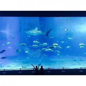 戲浪海洋館景觀設(shè)計(jì) 觀賞魚(yú)缸設(shè)計(jì)定做大型亞克力魚(yú)缸定制