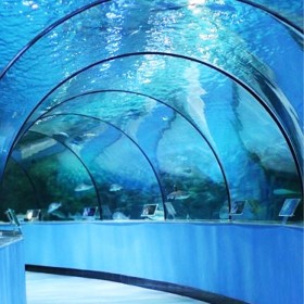 四川亞克力魚缸定做廠家 大型魚缸定制公司 海洋館工程設(shè)計建造