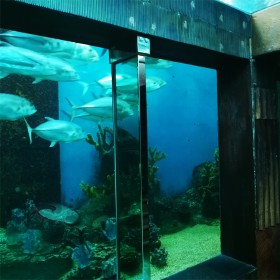 四川戲浪大型亞克力 大魚缸定做  圓柱異形魚缸定做廠家