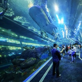 戲浪海洋館設計 水族館建造 海洋透明隧道安裝拼接 海洋餐廳設計施工 大魚缸定做
