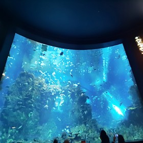 四川戲浪海洋主題餐廳設(shè)計與施工 水族館修建工程商