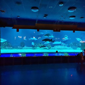 四川戲浪家用大型觀賞魚(yú)缸定做 別墅酒店大魚(yú)缸制作公司