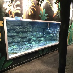 亞克力魚缸定做 有機(jī)玻璃觀賞大魚缸定制 大型海洋館設(shè)計 戲浪工程魚缸