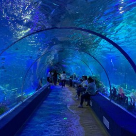 四川大型水族箱魚缸設(shè)計安裝 海洋館施工設(shè)計  海洋館運(yùn)營海洋館規(guī)劃戲浪