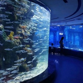 戲浪大型觀賞魚缸定做 免費(fèi)海洋館設(shè)計 水族館工程承建 透明懸空泳池設(shè)計安裝