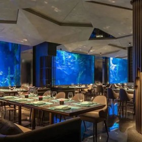 云南戲浪海洋館設(shè)計(jì)與施工 亞克力大魚缸定做 海洋餐廳魚缸設(shè)計(jì)安裝 別墅大魚缸設(shè)計(jì)施工