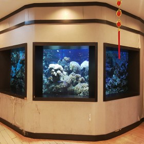戲浪海洋館設(shè)計(jì) 別墅私人魚(yú)缸定做 大魚(yú)缸設(shè)計(jì)  亞克力水族箱定做
