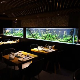 四川戲浪水族館設(shè)計(jì) 無(wú)邊際泳池 工程亞克力魚(yú)缸
